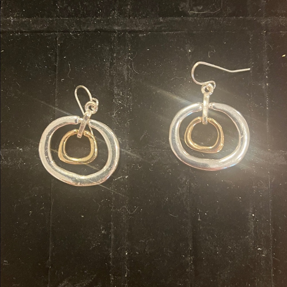 Silver and Gold Hoop Earrings